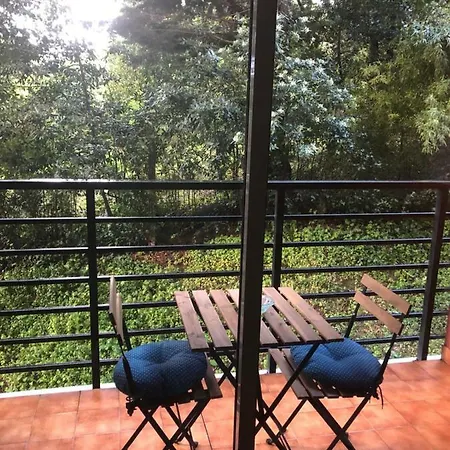 Apartamento 2 Hab. En